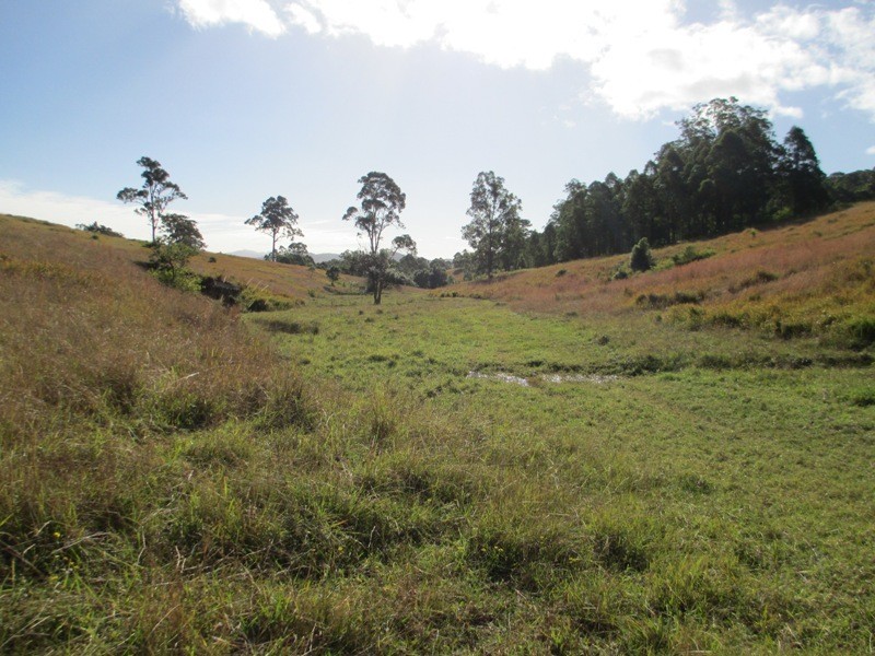 5697 – 5699 The Bucketts Way, Burrell Creek NSW 2429