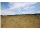 2731 Wallanbah Road, Firefly NSW 2429