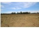 2731 Wallanbah Road, Firefly NSW 2429