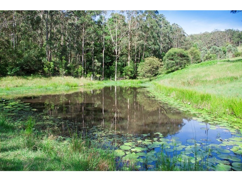 998 Nowendoc Road, Mount George NSW 2424