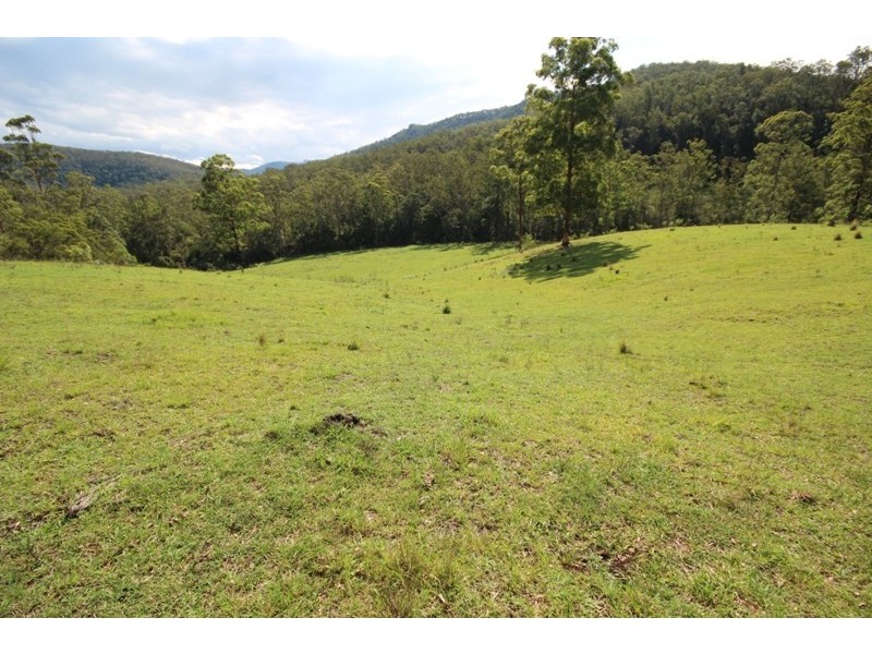 998 Nowendoc Road, Mount George NSW 2424