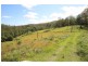 Elands NSW 2429
