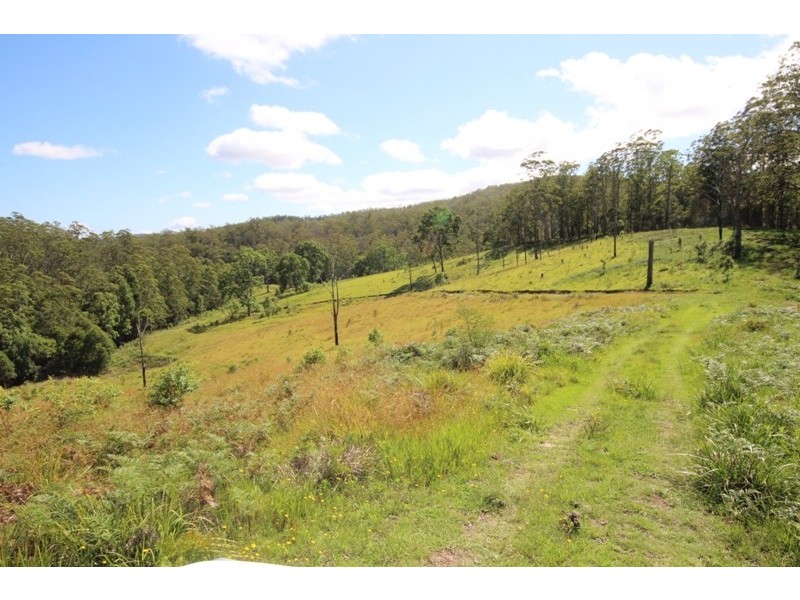 Elands NSW 2429
