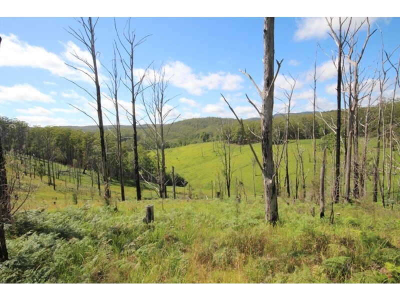 Elands NSW 2429