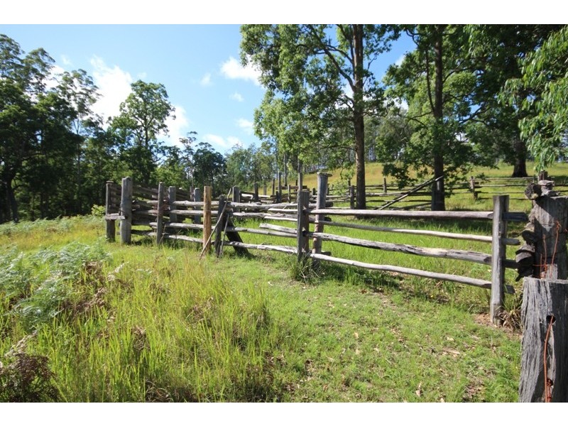 Elands NSW 2429