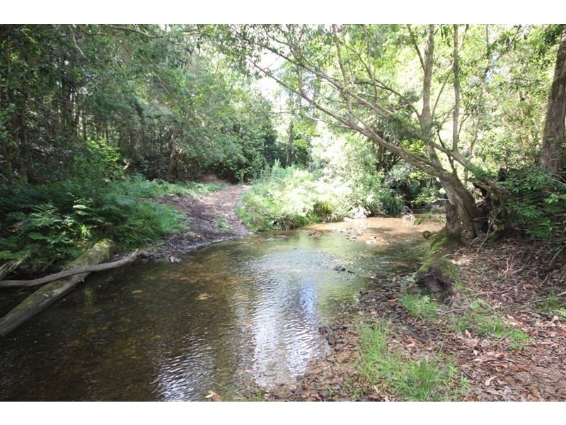 Elands NSW 2429