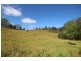 Elands NSW 2429