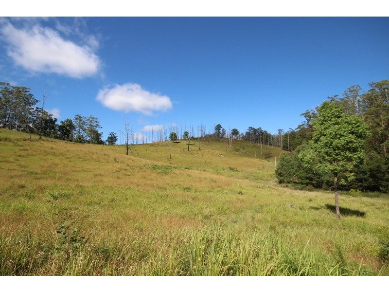 Elands NSW 2429