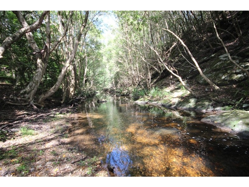 Elands NSW 2429