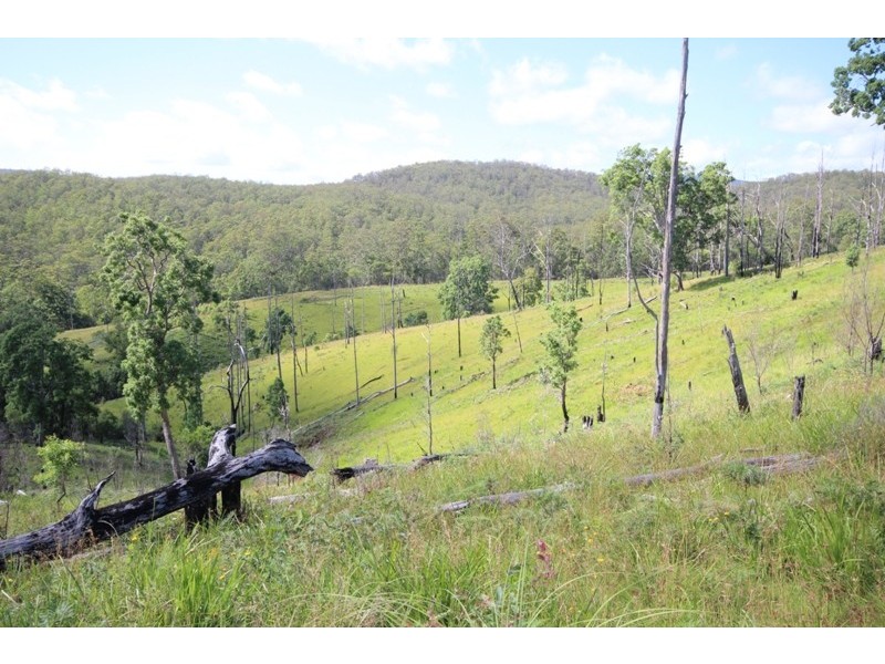 Elands NSW 2429