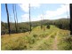 Elands NSW 2429