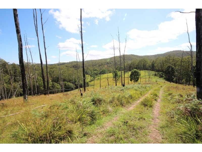 Elands NSW 2429