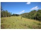 Elands NSW 2429
