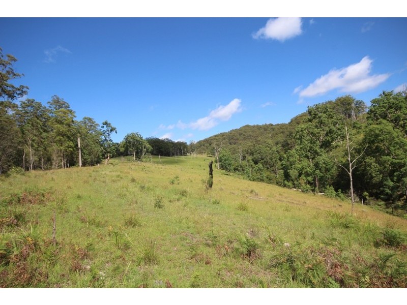 Elands NSW 2429