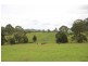 148 Mimi Creek Road, Nabiac NSW 2312