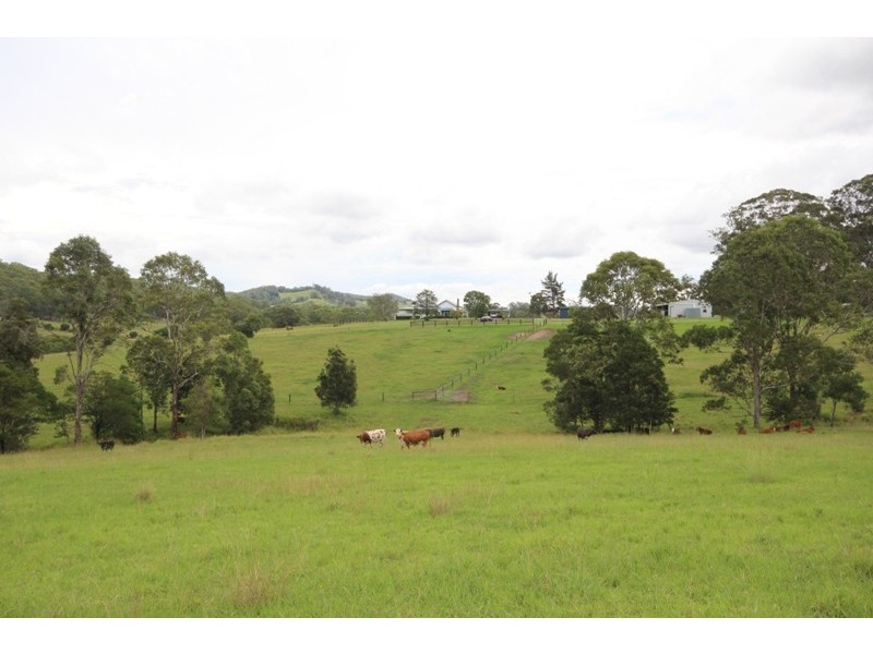 148 Mimi Creek Road, Nabiac NSW 2312