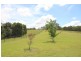 148 Mimi Creek Road, Nabiac NSW 2312