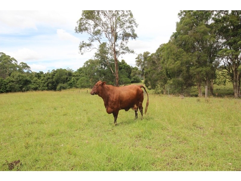 148 Mimi Creek Road, Nabiac NSW 2312
