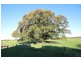 2 Newtons Road, Dumaresq Island NSW 2430