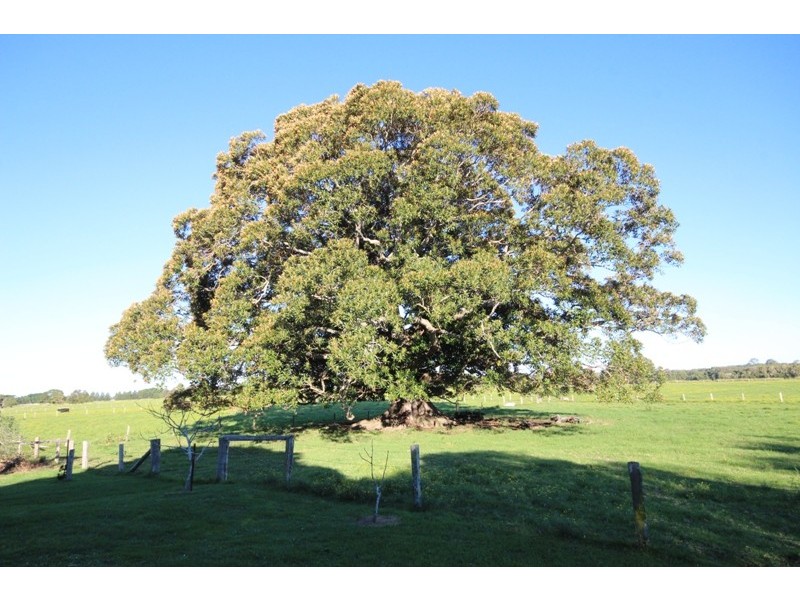 2 Newtons Road, Dumaresq Island NSW 2430