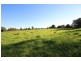 2 Newtons Road, Dumaresq Island NSW 2430