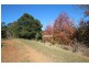 269 Butchers Creek Road, Wherrol Flat NSW 2429