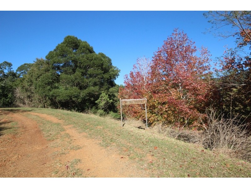 269 Butchers Creek Road, Wherrol Flat NSW 2429