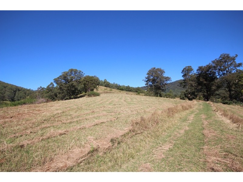 269 Butchers Creek Road, Wherrol Flat NSW 2429