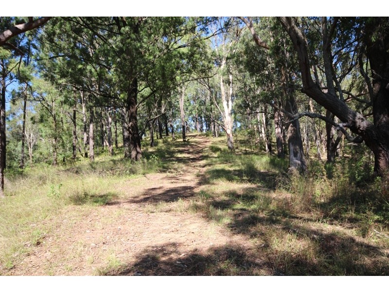 269 Butchers Creek Road, Wherrol Flat NSW 2429