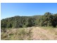 269 Butchers Creek Road, Wherrol Flat NSW 2429