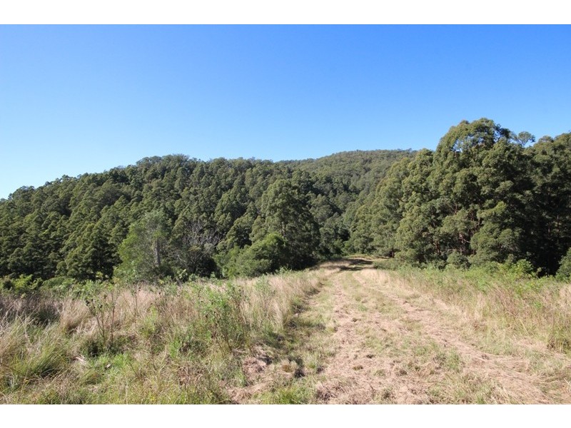 269 Butchers Creek Road, Wherrol Flat NSW 2429