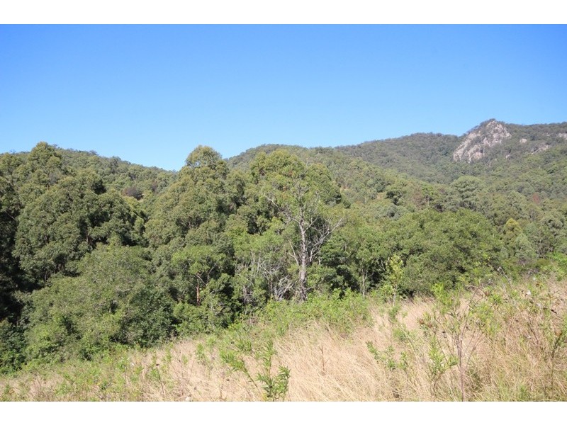 269 Butchers Creek Road, Wherrol Flat NSW 2429