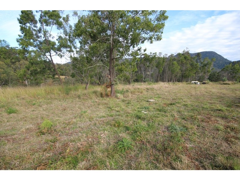 1510 Nowendoc Road, Mount George NSW 2424