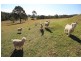 889 Bootawa Road, Burrell Creek NSW 2429