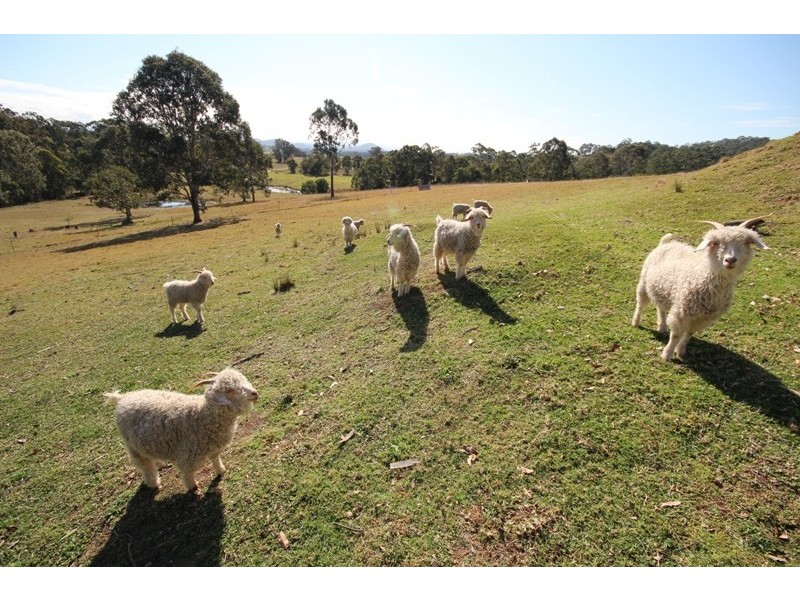 889 Bootawa Road, Burrell Creek NSW 2429