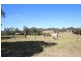 889 Bootawa Road, Burrell Creek NSW 2429