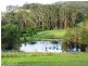 889 Bootawa Road, Burrell Creek NSW 2429
