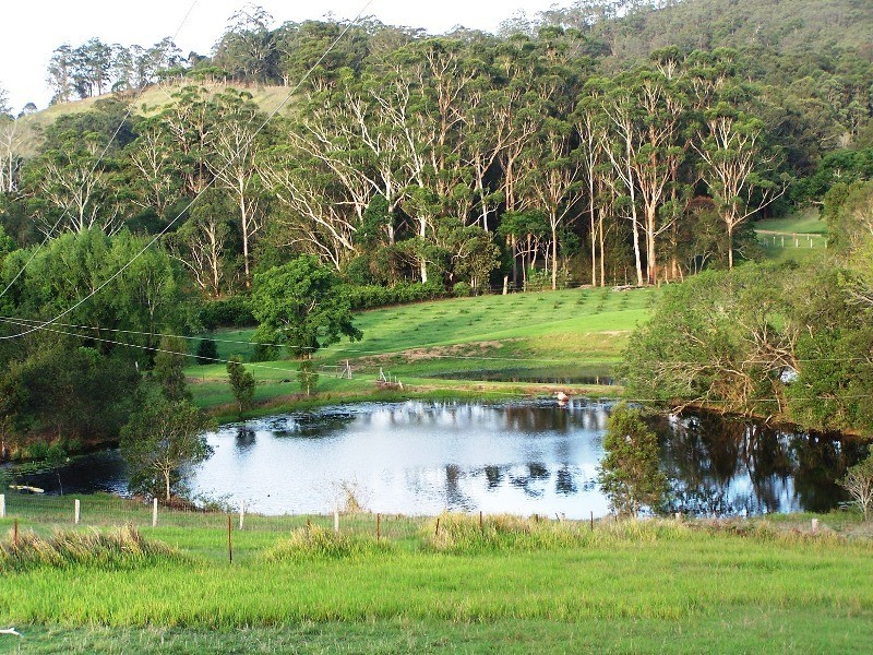 889 Bootawa Road, Burrell Creek NSW 2429