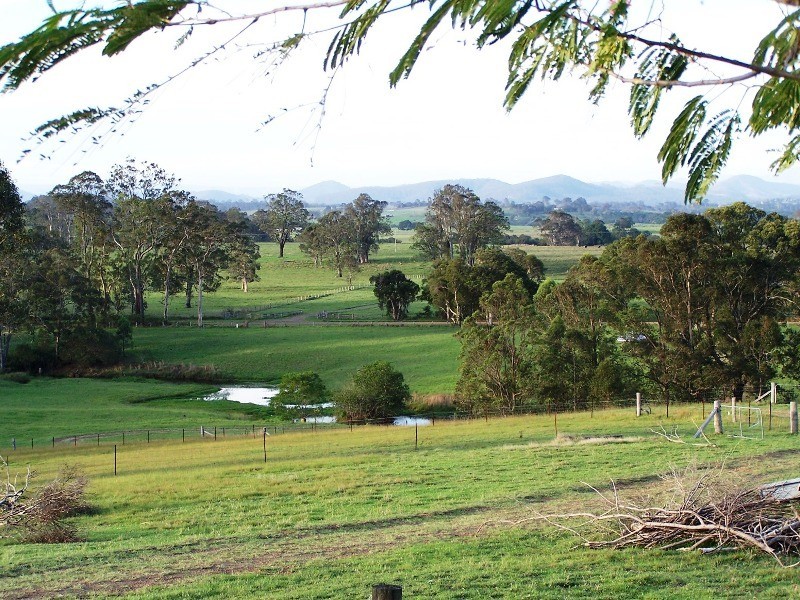 889 Bootawa Road, Burrell Creek NSW 2429
