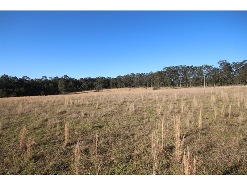 202 Bullhill Road, Tinonee NSW 2430