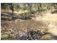 4384 The Buckets Way, Kundibakh NSW 2429