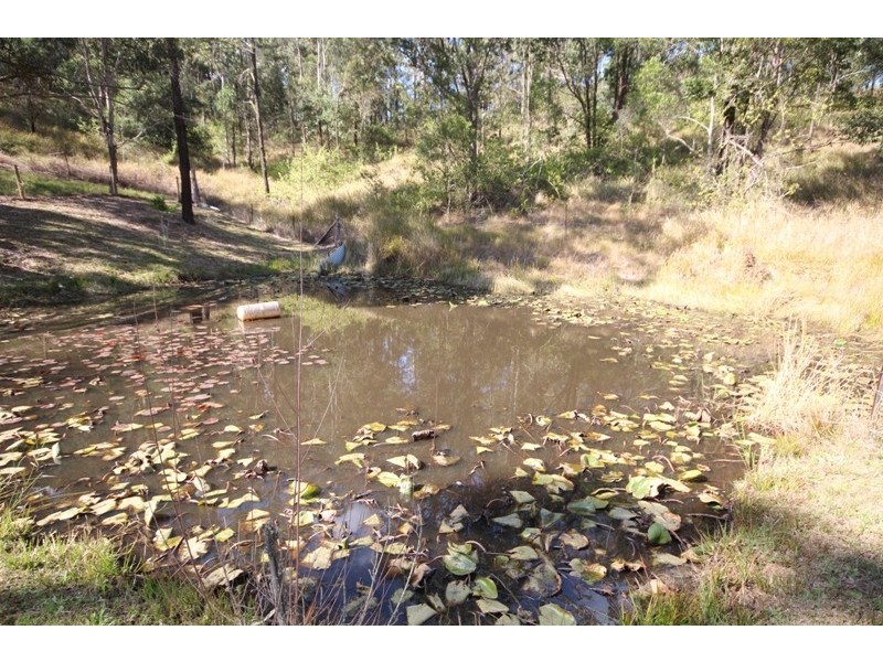 4384 The Buckets Way, Kundibakh NSW 2429