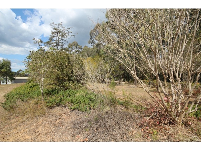 237 Bull Hill Road, Tinonee NSW 2430