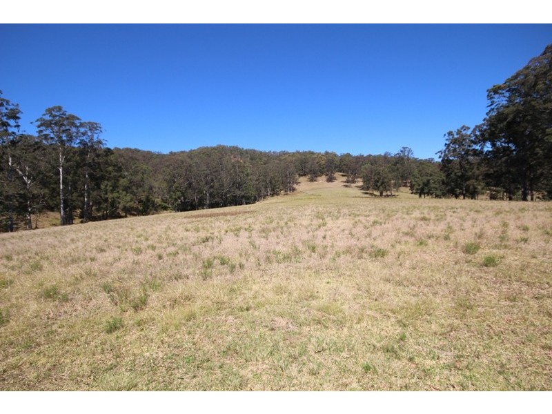 781 Caparra Road, Caparra NSW 2429