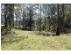 781 Caparra Road, Caparra NSW 2429