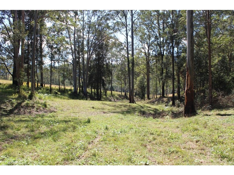 781 Caparra Road, Caparra NSW 2429