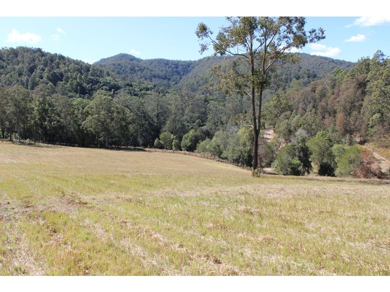 781 Caparra Road, Caparra NSW 2429