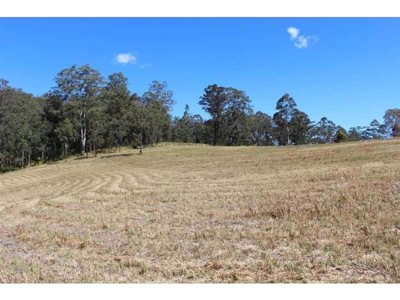 781 Caparra Road, Caparra NSW 2429