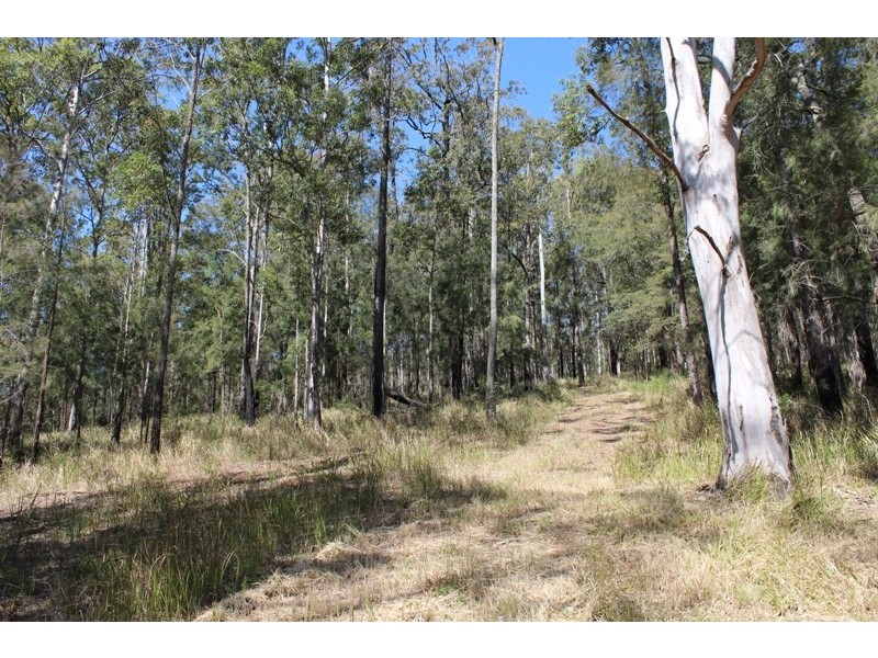 781 Caparra Road, Caparra NSW 2429