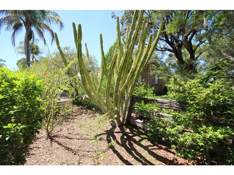 232 Kundle Kundle Road, Cundletown NSW 2430